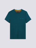 Vert Turquoise