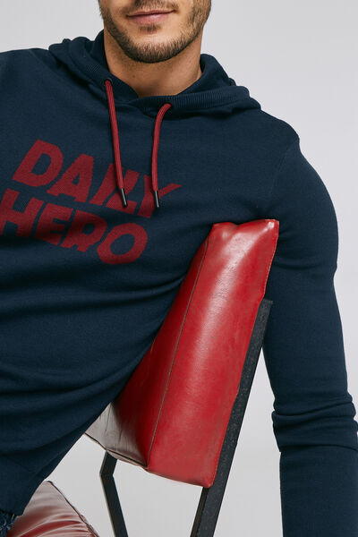 Pull à capuche DAILY HERO