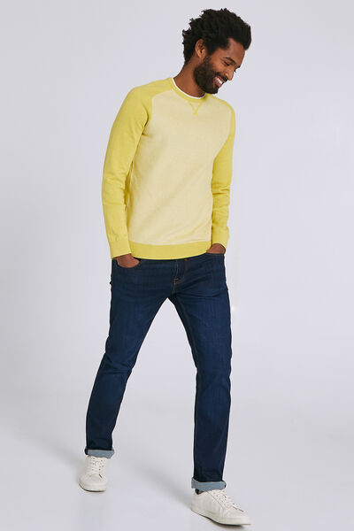 Pull col rond