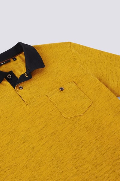 Polo manches courtes