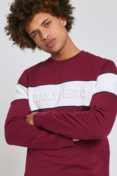Sweat message brodé relief DAILY HERO