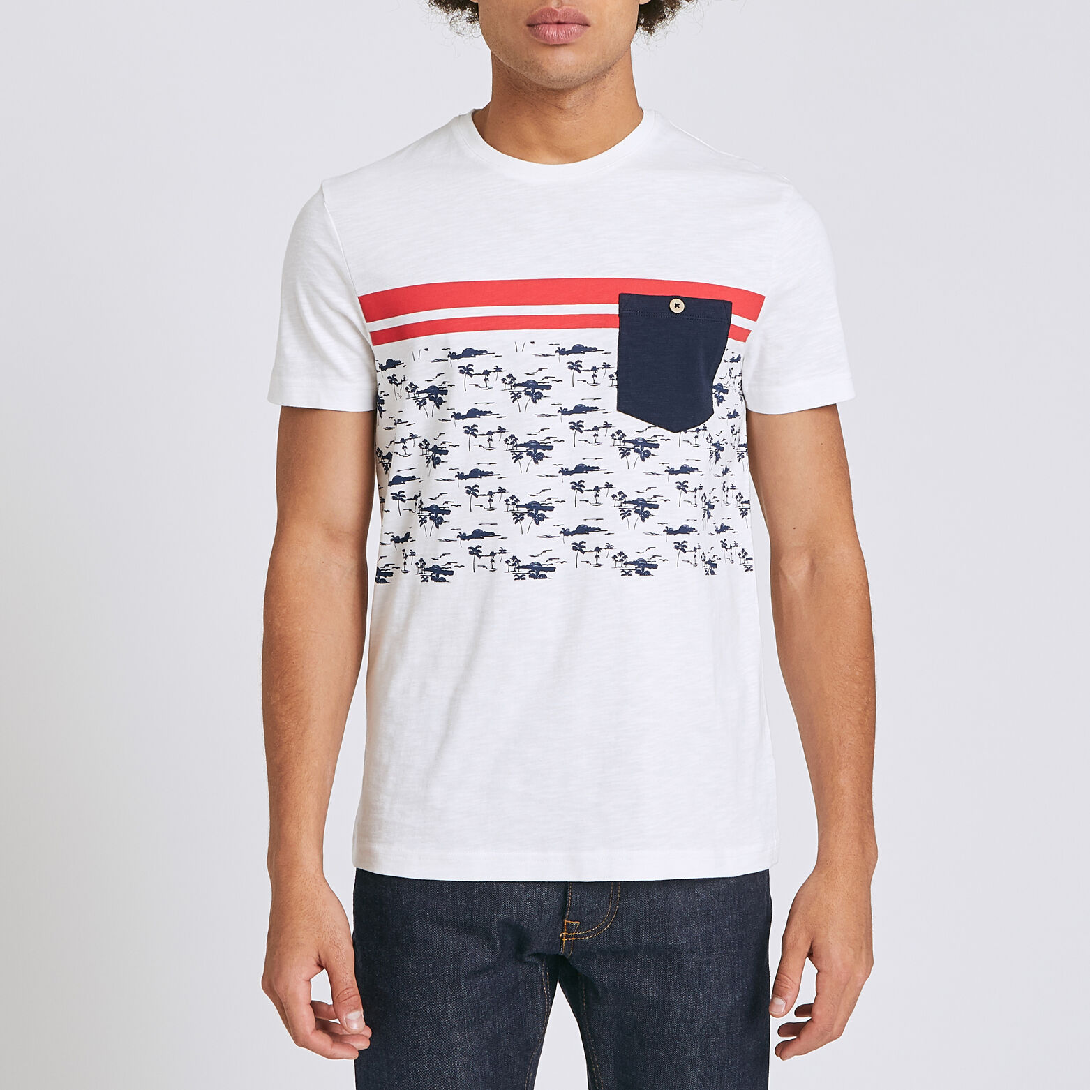 Tee shirt colorblock fantaisie palmiers