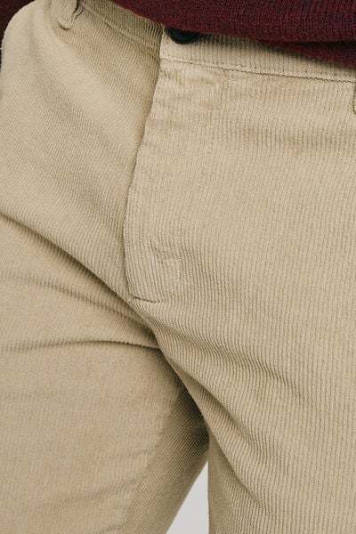 Chino coupe slim en velours