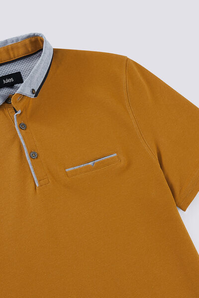 Polo manche courte col oxford