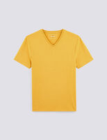 Jaune Fantaisie