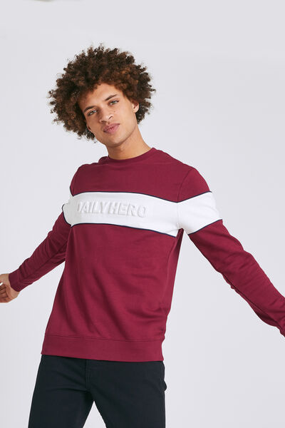 Sweat message brodé relief DAILY HERO