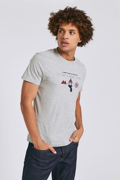Tee shirt imprimé région Rhones-Alpes - Isère/Savo