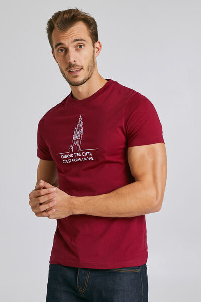 Tee-shirt région Hauts de France