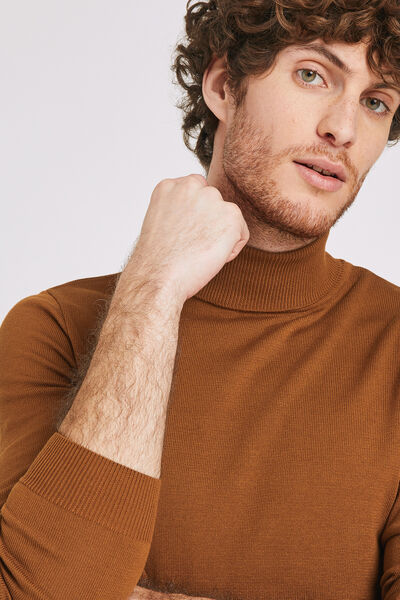 Pull col roulé uni