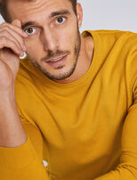Jaune D'Or